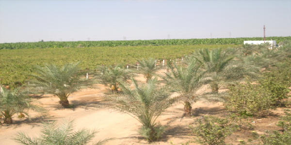   http://alwasiet.hooxs.com