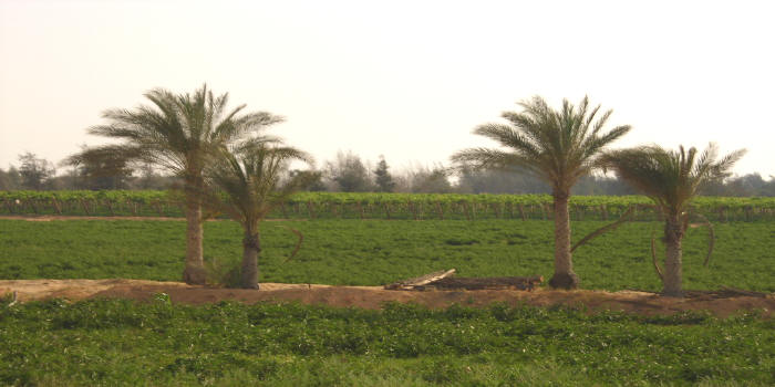  http://alwasiet.hooxs.com
