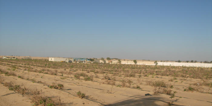   http://alwasiet.hooxs.com 