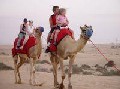 تايم شير مصرى مصور داخل سوق العقارات المصرية المصورة يحتوى على مجموعة من أسابيع التايم شير القابلة للبيع مرة أخرى ، تايم شير للإيجار تايم شير للبيع تايم شير للتمليك داخل جميع محافظات و مناطق جمهورية مصر العربية و يحتوى على مجموعة من الشاليهات القابلة للبيع بنظام مشاركة الوقت و على تايم شير داخل قرى سياحية فاخرة منها قرى سياحية خمس نجوم و قرى سياحية أربع نجوم و قرى سياحية ثلاث نجوم و يحتوى على تايم شير ب ست أفراد و تايم شير أربع أفراد و تايم شير فردين و تايم شير فاخر و تايم شير تحت الإنشاء و تايم شير بقرى تعمل بالفعل و تايم شير على حمامات سباحة و تايم شير على البحر مباشرة و تايم شير يرى البحر و يحتوى على تايم شير بشرم الشيخ و تايم شير بالغردقة و تايم شير بالعين السخنة و تايم شير برأس سدر و تايم شير بالزعفرانة و تايم شير بالساحل الشمالى و تايم شير بسيوه و تايم شير للمصايف و تايم شير للأجازات  و تايم شير بدهب و تايم شير بطابا و تايم شير بجنوب سيناء و تايم شير بالبحر الأحمر و تايم شير نقدا و تايم شير بتسهيلات فى الدفع و تايم شير بالتقسيط تايم شير بلاجونا الغردقة – تايم شير بمكسيكانا شرم الشيخ – تايم شير بهوليداى إن بشرم الشيخ - تايم شير بجولدن فايف بالغردقة - تايم شير بقرية ذهبية الغردقة - تايم شير بسندباد الغردقة - تايم شير بجاردينيا شرم - تايم شير راميفيرا الغردقة - تايم شير بنعمة هايتس - تايم شير بجراند شرم الشيخ - تايم شير برويال زعفرانة  تايم شير بلاجون كريب برأس سدر - تايم شير بكورال باى بشرم الشيخ و تايم شير برويال هيلنان شرم الشيخ داخل سوق تبادل العقارات المصرى رسالة خبراء التسويق