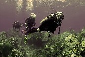 تايم شير مصرى مصور داخل سوق العقارات المصرية المصورة يحتوى على مجموعة من أسابيع التايم شير القابلة للبيع مرة أخرى ، تايم شير للإيجار تايم شير للبيع تايم شير للتمليك داخل جميع محافظات و مناطق جمهورية مصر العربية و يحتوى على مجموعة من الشاليهات القابلة للبيع بنظام مشاركة الوقت و على تايم شير داخل قرى سياحية فاخرة منها قرى سياحية خمس نجوم و قرى سياحية أربع نجوم و قرى سياحية ثلاث نجوم و يحتوى على تايم شير ب ست أفراد و تايم شير أربع أفراد و تايم شير فردين و تايم شير فاخر و تايم شير تحت الإنشاء و تايم شير بقرى تعمل بالفعل و تايم شير على حمامات سباحة و تايم شير على البحر مباشرة و تايم شير يرى البحر و يحتوى على تايم شير بشرم الشيخ و تايم شير بالغردقة و تايم شير بالعين السخنة و تايم شير برأس سدر و تايم شير بالزعفرانة و تايم شير بالساحل الشمالى و تايم شير بسيوه و تايم شير للمصايف و تايم شير للأجازات  و تايم شير بدهب و تايم شير بطابا و تايم شير بجنوب سيناء و تايم شير بالبحر الأحمر و تايم شير نقدا و تايم شير بتسهيلات فى الدفع و تايم شير بالتقسيط تايم شير بلاجونا الغردقة – تايم شير بمكسيكانا شرم الشيخ – تايم شير بهوليداى إن بشرم الشيخ - تايم شير بجولدن فايف بالغردقة - تايم شير بقرية ذهبية الغردقة - تايم شير بسندباد الغردقة - تايم شير بجاردينيا شرم - تايم شير راميفيرا الغردقة - تايم شير بنعمة هايتس - تايم شير بجراند شرم الشيخ - تايم شير برويال زعفرانة  تايم شير بلاجون كريب برأس سدر - تايم شير بكورال باى بشرم الشيخ و تايم شير برويال هيلنان شرم الشيخ داخل سوق تبادل العقارات المصرى رسالة خبراء التسويق