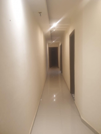 حدايق الاهرام 