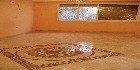 شقق عين شمس|شقق القاهرة|دليل العقارات المصرية المصور يحتوي على مجموعه من الشقق المصورة بمحافظة القاهرة بمنطقة عين شمس تشطيب فاخر و بدون تشطيب بمساحات من 100م و200م و300م و400م و500م و 700 م مختلفة بشوارع رئيسية و جانبية و تصلح لكافة الأغراض السكنية و الإدارية ... 