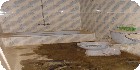 شقق عين شمس |شقق القاهرة|دليل العقارات المصرية المصور يحتوي على مجموعه من الشقق المصورة بمحافظة القاهرة بمنطقة عين شمس تشطيب فاخر و بدون تشطيب بمساحات من 100م و200م و300م و400م و500م و 700 م مختلفة بشوارع رئيسية و جانبية و تصلح لكافة الأغراض السكنية و الإدارية