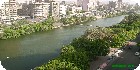 شقق المنيل|لعقارات المصرية المصور يحتوي على مجموعه من الشقق المصورة بمحافظة القاهرة بمنطقة المنيل تشطيب فاخر و بدون تشطيب بمساحات من 100م و200م و300م و400م و500م و 700 م مختلفة بشوارع رئيسية و جانبية و تصلح لكافة الأغراض السكنية و الإدارية. فإذا أردت ممارسة أي نشاط عقاري أو تفكر في ذلك سواء بائعا أو مشتريا أو مستثمرا اتصل وسوف تتوصل بخبير يرشدك لما يجب عمله من خطوات لتحقيق هدفك في أقل وقت وأفضل شروط .