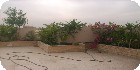 |شقق المقطم|الهضبة العليا|شقق للبيع بالمقطم دليل العقارات المصرية المصور يحتوي على مجموعه من الشقق المصورة بمحافظة القاهرة بمنطقة المقطم تشطيب فاخر و بدون تشطيب بمساحات أقل من 100متر  و200مساحات تتراوح بين 100 متر وحتي 200م ومساحات أكبر من 200متر  بشوارع رئيسية و جانبية و تصلح لكافة الأغراض السكنية و الإدارية. فإذا أردت ممارسة أي نشاط عقاري أو تفكر في ذلك سواء بائعا أو مشتريا أو مستثمرا اتصل وسوف تتوصل بخبير يرشدك لما يجب عمله من خطوات لتحقيق هدفك في أقل وقت وأفضل شروط .