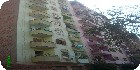 شقق عزبة النخل الشرقية|شارع الكنيسة الفرنساوي| دليل العقارات المصرية المصور يحتوي على مجموعه من الشقق المصورة بمحافظة القاهرة بمنطقة عزبة النخل تشطيب فاخر و بدون تشطيب بمساحات من 100م و200م و300م و400م و500م و 700 م مختلفة بشوارع رئيسية و جانبية و تصلح لكافة الأغراض السكنية و الإدارية. فإذا أردت ممارسة أي نشاط عقاري أو تفكر في ذلك سواء بائعا أو مشتريا أو مستثمرا اتصل وسوف تتوصل بخبير يرشدك لما يجب عمله من خطوات لتحقيق هدفك في أقل وقت وأفضل شروط .
