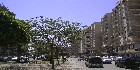 شقق جسر السويس|دليل العقارات المصرية المصور يحتوي على مجموعه من الشقق المصورة بمحافظة القاهرة بمنطقة جسر السويس تشطيب فاخر و بدون تشطيب بمساحات من 100م و200م و300م و400م و500م و 700 م مختلفة بشوارع رئيسية و جانبية و تصلح لكافة الأغراض السكنية و الإدارية. 