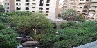  شقق حدائق القبة |شقق القاهرة||دليل العقارات المصرية المصور يحتوي على مجموعه من الشقق المصورة بمحافظة القاهرة بمنطقة حدائق القبة  تشطيب فاخر و بدون تشطيب بمساحات من 100م و200م و300م و400م و500م و 700 م مختلفة بشوارع رئيسية و جانبية و تصلح لكافة الأغراض السكنية و الإدارية