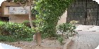 شقق زهراء المعادى| شقق المعادي|دليل العقارات المصرية المصور يحتوي على مجموعه من الشقق المصورة بمحافظة القاهرة بمنطقة المعادى تشطيب فاخر و بدون تشطيب بمساحات من 100م و200م و300م و400م و500م و 700 م مختلفة بشوارع رئيسية و جانبية و تصلح لكافة الأغراض السكنية و الإدارية.