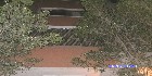 شقق المعادي|حدائق المعادى|دليل العقارات المصرية المصور يحتوي على مجموعه من الشقق المصورة بمحافظة القاهرة بمنطقة المعادى تشطيب فاخر و بدون تشطيب بمساحات من 100م و200م و300م و400م و500م و 700 م مختلفة بشوارع رئيسية و جانبية و تصلح لكافة الأغراض السكنية و الإدارية. 