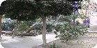 شقق مصر الجديدة  |شقق القاهرة | دليل العقارات المصرية المصور يحتوي على مجموعه من الشقق المصورة بمحافظة القاهرة بمنطقة مصر الجديدة تشطيب فاخر و بدون تشطيب بمساحات من 100م و200م و300م و400م و500م و 700 م مختلفة بشوارع رئيسية و جانبية و تصلح لكافة الأغراض السكنية و الإدارية.