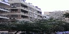 شقق مصر الجديدة | دليل العقارات المصرية المصور يحتوي على مجموعه من الشقق المصورة بمحافظة القاهرة بمنطقة مصر الجديدة تشطيب فاخر و بدون تشطيب بمساحات من 100م و200م و300م و400م و500م و 700 م مختلفة بشوارع رئيسية و جانبية و تصلح لكافة الأغراض السكنية و الإدارية.فإذا أردت ممارسة أي نشاط عقاري أو تفكر في ذلك سواء بائعا أو مشتريا أو مستثمرا اتصل وسوف تتوصل بخبير يرشدك لما يجب عمله من خطوات لتحقيق هدفك في أقل وقت وأفضل شروط .