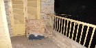 شقق عمارات القوات المسلحه|امتداد رمسيس|شقق مدينة نصر | شقق القاهرة | دليل العقارات المصرية المصور يحتوي على مجموعه من الشقق المصورة بمحافظة القاهرة بمنطقة مدينة نصر تشطيب فاخر و بدون تشطيب بمساحات من 100م و200م و300م و400م و500م و 700 م مختلفة بشوارع رئيسية و جانبية و تصلح لكافة الأغراض السكنية و الإدارية.