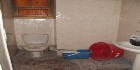 شقق المنطقه السادسه|شقق مدينة نصر|شقق القاهرة |دليل العقارات المصرية المصور يحتوي على مجموعه من الشقق المصورة بمحافظة القاهرة بمنطقة مدينة نصر تشطيب فاخر و بدون تشطيب بمساحات من 100م و200م و300م و400م و500م و 700 م مختلفة بشوارع رئيسية و جانبية و تصلح لكافة الأغراض السكنية و الإدارية. ... 