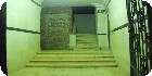 | 71 جمــــال الدين دويدار - خلف السراج مول مدينة نصر |دليل العقارات المصرية المصور يحتوي على مجموعه من الشقق المصورة بمحافظة القاهرة بمنطقة مدينة نصر تشطيب فاخر و بدون تشطيب بمساحات من 100م و200م و300م و400م و500م و 700 م مختلفة بشوارع رئيسية و جانبية و تصلح لكافة الأغراض السكنية و الإدارية. 