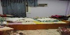 شقق مدينة نصر|دليل العقارات المصرية المصور يحتوي على مجموعه من الشقق المصورة بمحافظة القاهرة بمنطقة مدينة نصر تشطيب فاخر و بدون تشطيب بمساحات من 100م و200م و300م و400م و500م و 700 م مختلفة بشوارع رئيسية و جانبية و تصلح لكافة الأغراض السكنية و الإدارية.