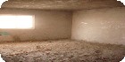 شقق الواحة|دليل العقارات المصرية المصور يحتوي على مجموعه من الشقق المصورة بمحافظة القاهرة بمنطقة مدينة نصر تشطيب فاخر و بدون تشطيب بمساحات من 100م و200م و300م و400م و500م و 700 م مختلفة بشوارع رئيسية و جانبية و تصلح لكافة الأغراض السكنية و الإدارية. فإذا أردت ممارسة أي نشاط عقاري أو تفكر في ذلك سواء بائعا أو مشتريا أو مستثمرا اتصل وسوف تتوصل بخبير يرشدك لما يجب عمله من خطوات لتحقيق هدفك في أقل وقت وأفضل شروط .