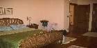 شقق مدينة نصر|مكرم عبيد/دليل العقارات المصرية المصور يحتوي على مجموعه من الشقق المصورة بمحافظة القاهرة بمنطقة مدينة نصر تشطيب فاخر و بدون تشطيب بمساحات من 100م و200م و300م و400م و500م و 700 م مختلفة بشوارع رئيسية و جانبية و تصلح لكافة الأغراض السكنية و الإدارية.