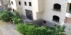عماره المقطم|عمارة القاهرة|سوق العقارات المصري المصور يحتوي على مجموعه من ( العمارات – العقارات – البيوت ) المصورة بمحافظة القاهرة بمنطقة المقطم بمواقع سكنية هادئة و إدارية و تجارية نشطة راقية و فاخرة للبيع تصلح لكافة الأغراض السكنية و التجارية و الإدارية و الاستثمارية على شوارع رئيسية عريضة و هادئة للسكن العائلى و شوارع تجارية عريضة و نشطة تجارية للاستغلال التجارى و الإدارى و شوارع جانبية بمختلف المساحات و التشطيبات. بيوت للبيع و عقارات للبيع و عمارات للبيع و عمارات للتمليك و عقارات للتمليك و عمارات للإيجار و عقارات للإيجار تشتطيب فاخر و سوبر لوكس و تشتطيب عادى و عمارات بدون تشتطيب و عمارات تحت الإنشاء و شقق داخل عمارات خاصة . نقدا أو بتسهيلات أو تصلح لتمويل عقارى.  داخل سوق تبادل العقارات المصري رسالة خبراء التسويق. فإذا أردت ممارسة أي نشاط عقاري أو تفكر في ذلك سواء بائعا أو مشتريا أو مستثمرا اتصل وسوف تتوصل بخبير يرشدك لما يجب عمله من خطوات لتحقيق هدفك في أقل وقت وأفضل شروط .