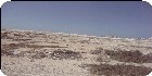 اراضى عجيبة|اراضى مطروح|دليل العقارات المصرية المصور يحتوي على مجموعه من الاراضى المصورة بمدينة مرسي مطروح تصلح لجميع الاغراض السكنية ( أراضي عمارات – أراضي فيلات – أراضي شاليهات – اراضي قصور ) و الإدارية و التجارية و اراضي صناعية – اراضي زراعية – و اراضي للمدن السكنية بمساحات مختلفة بالمتر المربع أو الفدان بالشوارع الرئيسية و الجانبية و الطرق السريعة