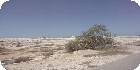 اراضى عجيبة|اراضى مطروح|دليل العقارات المصرية المصور يحتوي على مجموعه من الاراضى المصورة بمدينة مرسي مطروح تصلح لجميع الاغراض السكنية ( أراضي عمارات – أراضي فيلات – أراضي شاليهات – اراضي قصور ) و الإدارية و التجارية و اراضي صناعية – اراضي زراعية – و اراضي للمدن السكنية بمساحات مختلفة بالمتر المربع أو الفدان بالشوارع الرئيسية و الجانبية و الطرق السريعة
