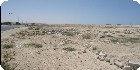 اراضى عجيبة|اراضى مطروح|دليل العقارات المصرية المصور يحتوي على مجموعه من الاراضى المصورة بمدينة مرسي مطروح تصلح لجميع الاغراض السكنية ( أراضي عمارات – أراضي فيلات – أراضي شاليهات – اراضي قصور ) و الإدارية و التجارية و اراضي صناعية – اراضي زراعية – و اراضي للمدن السكنية بمساحات مختلفة بالمتر المربع أو الفدان بالشوارع الرئيسية و الجانبية و الطرق السريعة