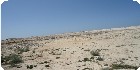 اراضى عجيبة|اراضى مطروح|دليل العقارات المصرية المصور يحتوي على مجموعه من الاراضى المصورة بمدينة مرسي مطروح تصلح لجميع الاغراض السكنية ( أراضي عمارات – أراضي فيلات – أراضي شاليهات – اراضي قصور ) و الإدارية و التجارية و اراضي صناعية – اراضي زراعية – و اراضي للمدن السكنية بمساحات مختلفة بالمتر المربع أو الفدان بالشوارع الرئيسية و الجانبية و الطرق السريعة
