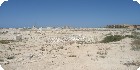 اراضى عجيبة|اراضى مطروح|دليل العقارات المصرية المصور يحتوي على مجموعه من الاراضى المصورة بمدينة مرسي مطروح تصلح لجميع الاغراض السكنية ( أراضي عمارات – أراضي فيلات – أراضي شاليهات – اراضي قصور ) و الإدارية و التجارية و اراضي صناعية – اراضي زراعية – و اراضي للمدن السكنية بمساحات مختلفة بالمتر المربع أو الفدان بالشوارع الرئيسية و الجانبية و الطرق السريعة