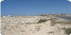 اراضى عجيبة|اراضى مطروح|دليل العقارات المصرية المصور يحتوي على مجموعه من الاراضى المصورة بمدينة مرسي مطروح تصلح لجميع الاغراض السكنية ( أراضي عمارات – أراضي فيلات – أراضي شاليهات – اراضي قصور ) و الإدارية و التجارية و اراضي صناعية – اراضي زراعية – و اراضي للمدن السكنية بمساحات مختلفة بالمتر المربع أو الفدان بالشوارع الرئيسية و الجانبية و الطرق السريعة