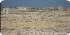 اراضى عجيبة|اراضى مطروح|دليل العقارات المصرية المصور يحتوي على مجموعه من الاراضى المصورة بمدينة مرسي مطروح تصلح لجميع الاغراض السكنية ( أراضي عمارات – أراضي فيلات – أراضي شاليهات – اراضي قصور ) و الإدارية و التجارية و اراضي صناعية – اراضي زراعية – و اراضي للمدن السكنية بمساحات مختلفة بالمتر المربع أو الفدان بالشوارع الرئيسية و الجانبية و الطرق السريعة
