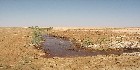 دليل العقارات المصرية المصور يحتوي على مجموعه من الاراضى المصورة بالوادي الجديد تصلح لجميع الاغراض السكنية, أراضي عمارات – أراضي فيلات – أراضي شاليهات – اراضي قصور و الإدارية و التجارية و اراضي صناعية – اراضي زراعية – و اراضي للمدن السكنية بمساحات مختلفة بالمتر المربع أو الفدان بالشوارع الرئيسية و الجانبية و الطرق السريعة