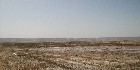 دليل العقارات المصرية المصور يحتوي على مجموعه من الاراضى المصورة بالوادي الجديد تصلح لجميع الاغراض السكنية, أراضي عمارات – أراضي فيلات – أراضي شاليهات – اراضي قصور و الإدارية و التجارية و اراضي صناعية – اراضي زراعية – و اراضي للمدن السكنية بمساحات مختلفة بالمتر المربع أو الفدان بالشوارع الرئيسية و الجانبية و الطرق السريعة