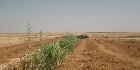 دليل العقارات المصرية المصور يحتوي على مجموعه من الاراضى المصورة بالوادي الجديد تصلح لجميع الاغراض السكنية, أراضي عمارات – أراضي فيلات – أراضي شاليهات – اراضي قصور و الإدارية و التجارية و اراضي صناعية – اراضي زراعية – و اراضي للمدن السكنية بمساحات مختلفة بالمتر المربع أو الفدان بالشوارع الرئيسية و الجانبية و الطرق السريعة