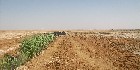 دليل العقارات المصرية المصور يحتوي على مجموعه من الاراضى المصورة بالوادي الجديد تصلح لجميع الاغراض السكنية, أراضي عمارات – أراضي فيلات – أراضي شاليهات – اراضي قصور و الإدارية و التجارية و اراضي صناعية – اراضي زراعية – و اراضي للمدن السكنية بمساحات مختلفة بالمتر المربع أو الفدان بالشوارع الرئيسية و الجانبية و الطرق السريعة