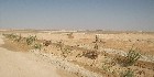 دليل العقارات المصرية المصور يحتوي على مجموعه من الاراضى المصورة بالوادي الجديد تصلح لجميع الاغراض السكنية, أراضي عمارات – أراضي فيلات – أراضي شاليهات – اراضي قصور و الإدارية و التجارية و اراضي صناعية – اراضي زراعية – و اراضي للمدن السكنية بمساحات مختلفة بالمتر المربع أو الفدان بالشوارع الرئيسية و الجانبية و الطرق السريعة