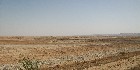 دليل العقارات المصرية المصور يحتوي على مجموعه من الاراضى المصورة بالوادي الجديد تصلح لجميع الاغراض السكنية, أراضي عمارات – أراضي فيلات – أراضي شاليهات – اراضي قصور و الإدارية و التجارية و اراضي صناعية – اراضي زراعية – و اراضي للمدن السكنية بمساحات مختلفة بالمتر المربع أو الفدان بالشوارع الرئيسية و الجانبية و الطرق السريعة