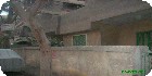 دليل العقارات المصرية المصور يحتوي على مجموعه من الفيلات المصورة بمحافظة الجيزة بمنطقة الهرم تشطيب فاخر و بدون تشطيب مواقع سكنية هادئة و إدارية و تجارية نشطة راقية و فاخرة تصلح لجميع الأغراض السكنية و التجارية و الإدارية ة الاستثمارية
